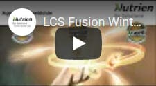 LCS Fusion Winter Wheat
