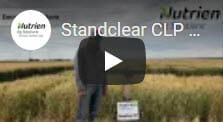 Standclear Winter Wheat