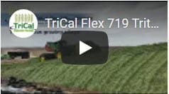 TriCal Flex 719