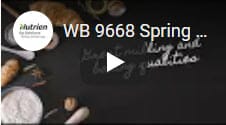 WB 9668 Spring Wheat